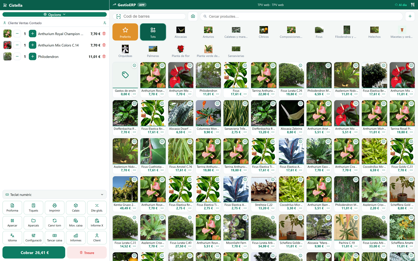 Floristerias y viveros · Tapik